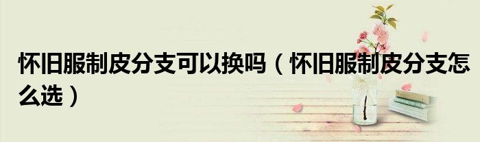怀旧服制皮分支可以换吗(怀旧服制皮分支怎么选)