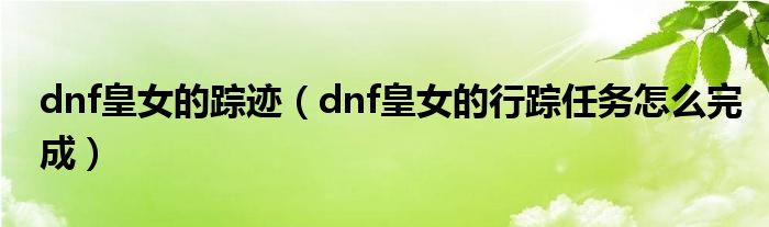 dnf皇女的踪迹(dnf皇女的行踪任务怎么完成)