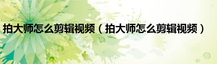 拍大师怎么剪辑视频(拍大师怎么剪辑视频)