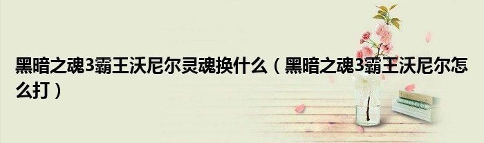 黑暗之魂3霸王沃尼尔灵魂换什么(黑暗之魂3霸王沃尼尔怎么打)