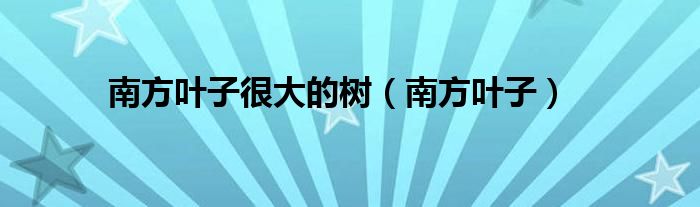 南方叶子很大的树(南方叶子)