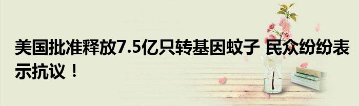 美国批准释放7.5亿只转基因蚊子 民众纷纷表示抗议!