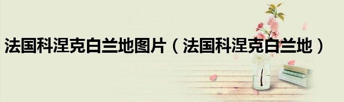 法国科涅克白兰地图片(法国科涅克白兰地)