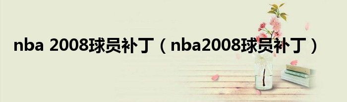 nba 2008球员补丁(nba2008球员补丁)