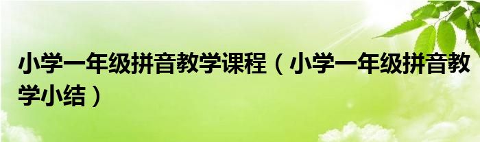 小学一年级拼音教学课程(小学一年级拼音教学小结)