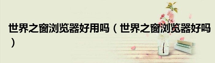 世界之窗浏览器好用吗(世界之窗浏览器好吗)