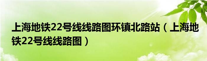 上海地铁22号线线路图环镇北路站(上海地铁22号线线路图)