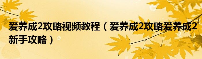 爱养成2攻略视频教程(爱养成2攻略爱养成2新手攻略)