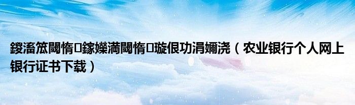 鍐滀笟閾惰鎵嬫満閾惰璇佷功涓嬭浇(农业银行个人网上银行证书下载)