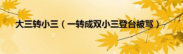 大三转小三(一转成双小三登台被骂)