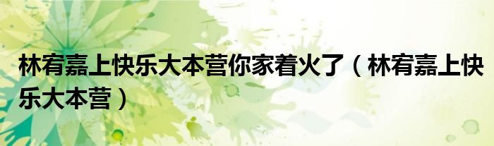 林宥嘉上快乐大本营你家着火了(林宥嘉上快乐大本营)