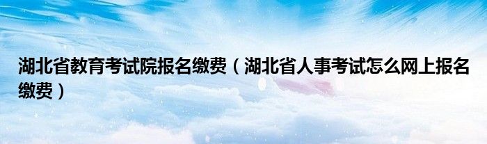 湖北省教育考试院报名缴费(湖北省人事考试怎么网上报名缴费)
