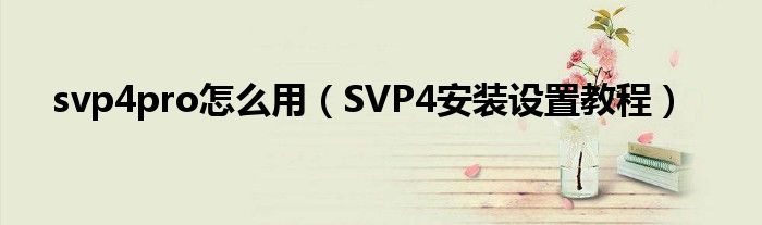 svp4pro怎么用(SVP4安装设置教程)