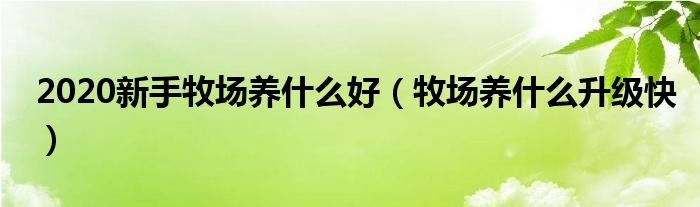 2020新手牧场养什么好(牧场养什么升级快)
