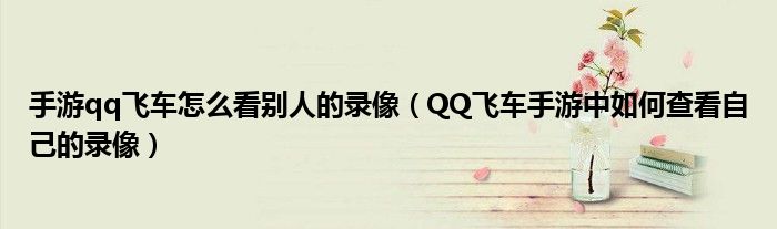 手游qq飞车怎么看别人的录像(QQ飞车手游中如何查看自己的录像)
