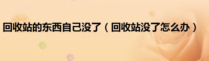 回收站的东西自己没了(回收站没了怎么办)