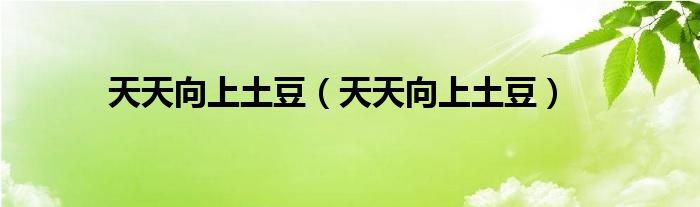 天天向上土豆(天天向上土豆)