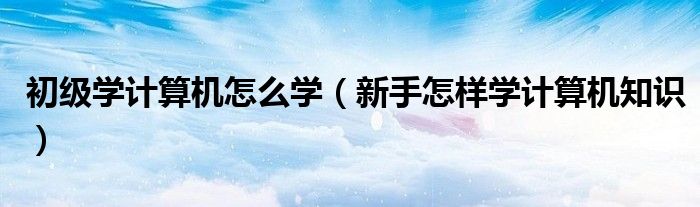 初级学计算机怎么学(新手怎样学计算机知识)