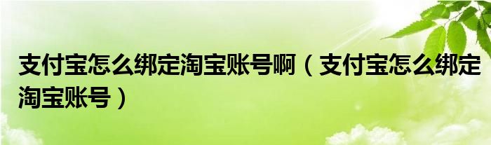 支付宝怎么绑定淘宝账号啊(支付宝怎么绑定淘宝账号)