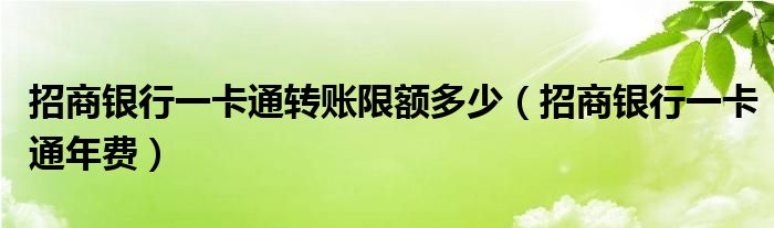 招商银行一卡通转账限额多少(招商银行一卡通年费)