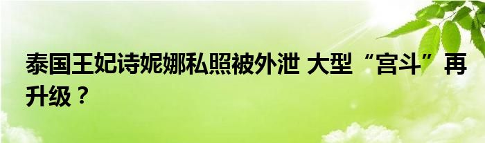 泰国王妃诗妮娜私照被外泄 大型“宫斗”再升级?