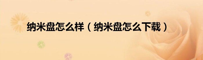 纳米盘怎么样(纳米盘怎么下载)