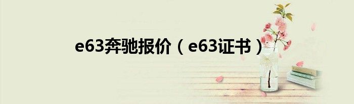 e63奔驰报价(e63证书)