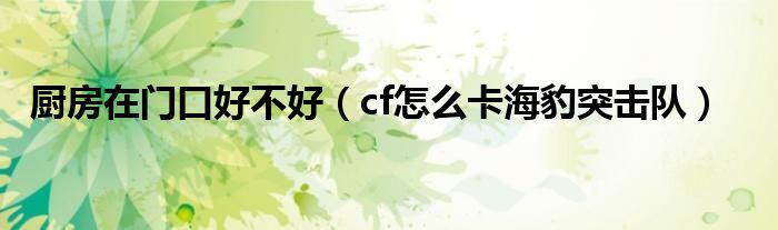 厨房在门口好不好(cf怎么卡海豹突击队)