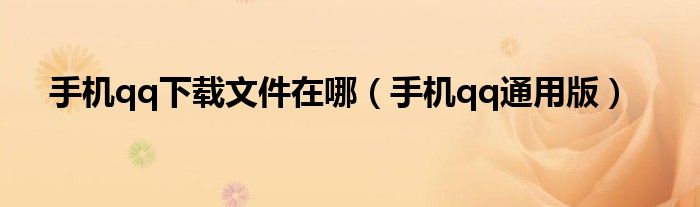 手机qq下载文件在哪(手机qq通用版)