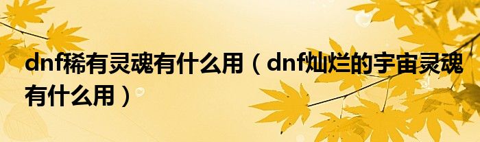 dnf稀有灵魂有什么用(dnf灿烂的宇宙灵魂有什么用)