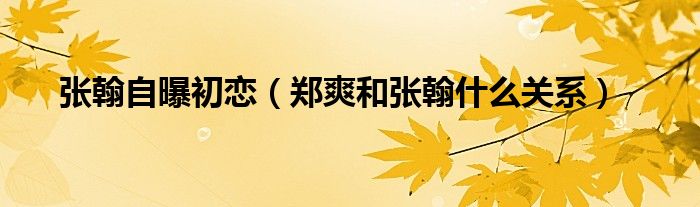 张翰自曝初恋(郑爽和张翰什么关系)
