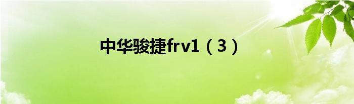 中华骏捷frv1(3)