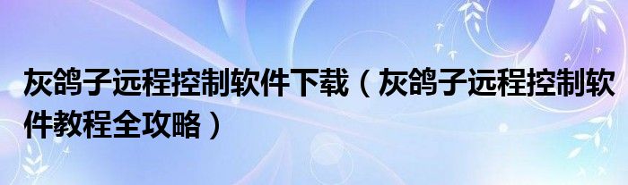 灰鸽子远程控制软件下载(灰鸽子远程控制软件教程全攻略)