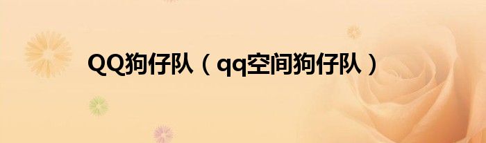 QQ狗仔队(qq空间狗仔队)