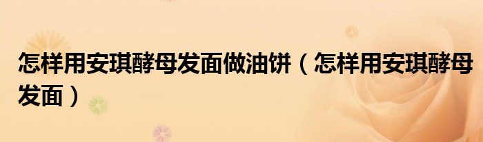 怎样用安琪酵母发面做油饼(怎样用安琪酵母发面)