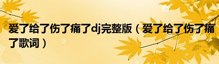 爱了给了伤了痛了dj完整版(爱了给了伤了痛了歌词)
