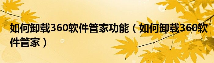 如何卸载360软件管家功能(如何卸载360软件管家)