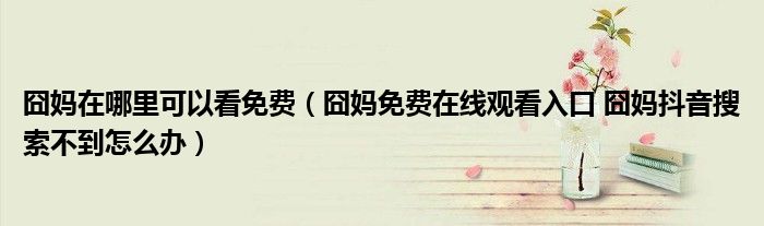囧妈在哪里可以看免费(囧妈免费在线观看入口 囧妈抖音搜索不到怎么办)
