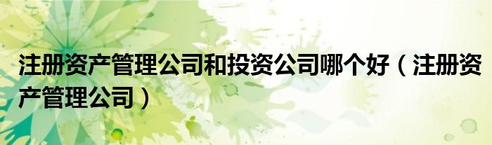 注册资产管理公司和投资公司哪个好(注册资产管理公司)