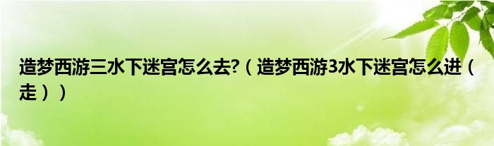 造梦西游三水下迷宫怎么去?(造梦西游3水下迷宫怎么进(走))