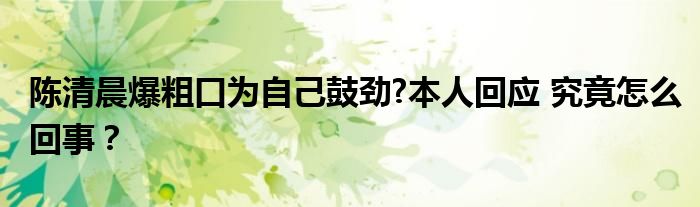 陈清晨爆粗口为自己鼓劲?本人回应 究竟怎么回事？