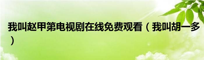 我叫赵甲第电视剧在线免费观看(我叫胡一多)