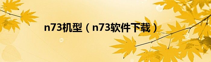n73机型(n73软件下载)
