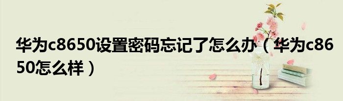 华为c8650设置密码忘记了怎么办(华为c8650怎么样)
