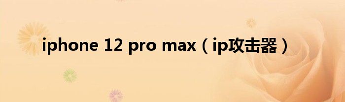 iphone 12 pro max(ip攻击器)