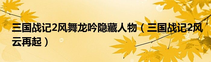 三国战记2风舞龙吟隐藏人物(三国战记2风云再起)