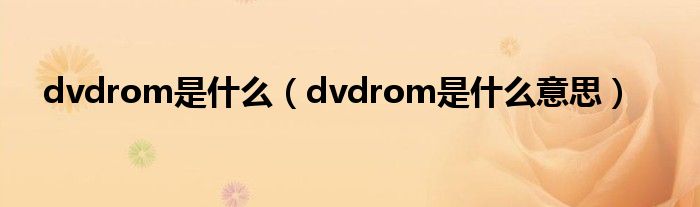dvdrom是什么(dvdrom是什么意思)