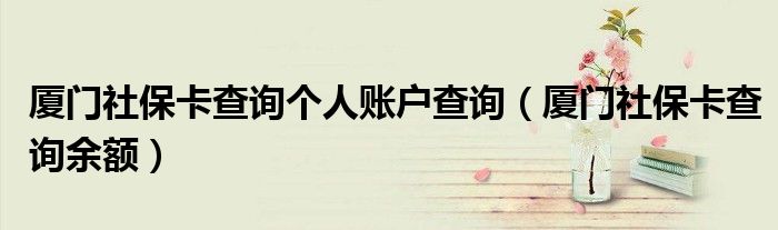 厦门社保卡查询个人账户查询(厦门社保卡查询余额)