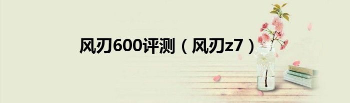 风刃600评测(风刃z7)