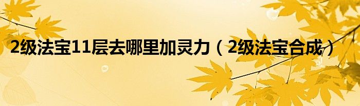 2级法宝11层去哪里加灵力(2级法宝合成)